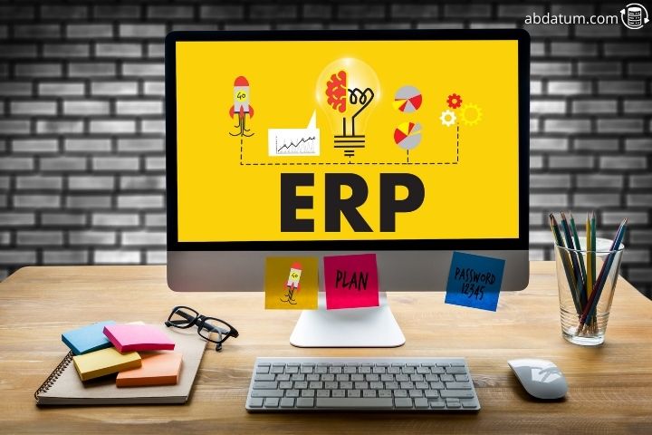 erp consultant